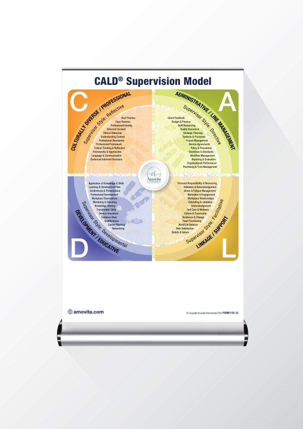 CALD® Model Pull Up Banner