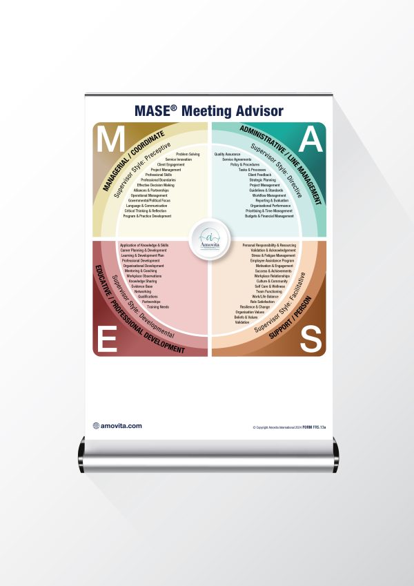 MASE® Model Pull Up Banner